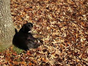 Don't bother me I'm catching some rays