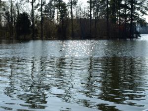 Lake Guntersville (pronounced "Gunnersvlle")