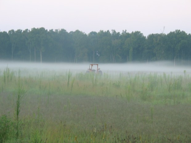Tractor in the Mist