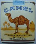 Pack_of_camel