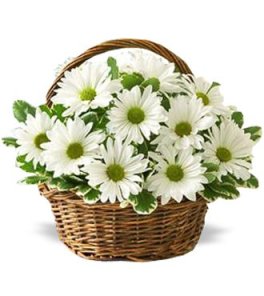 White_Daisy_Basket