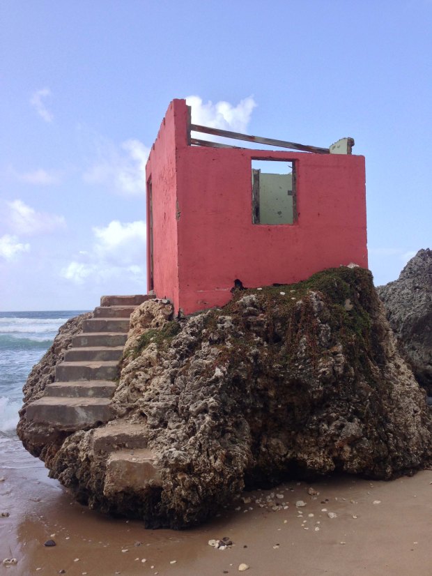 A little pink house lite